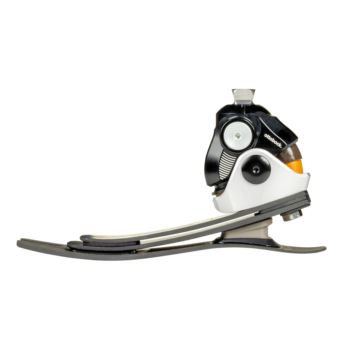 Pie Taleo Adjust 1C56