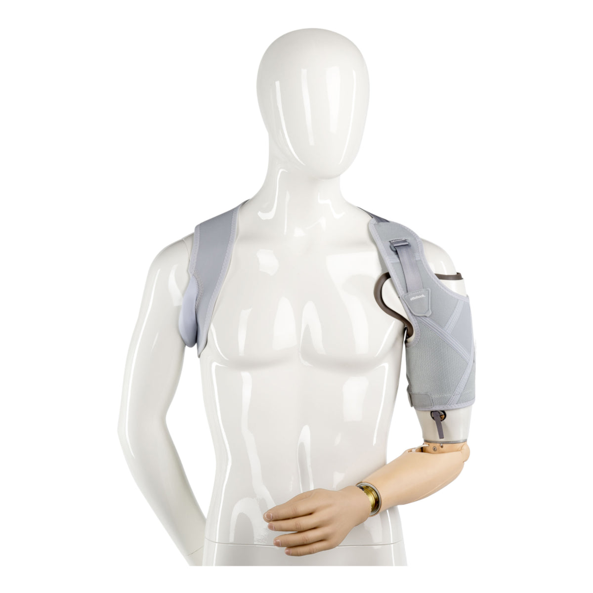 Arnes activo transhumeral 21A47