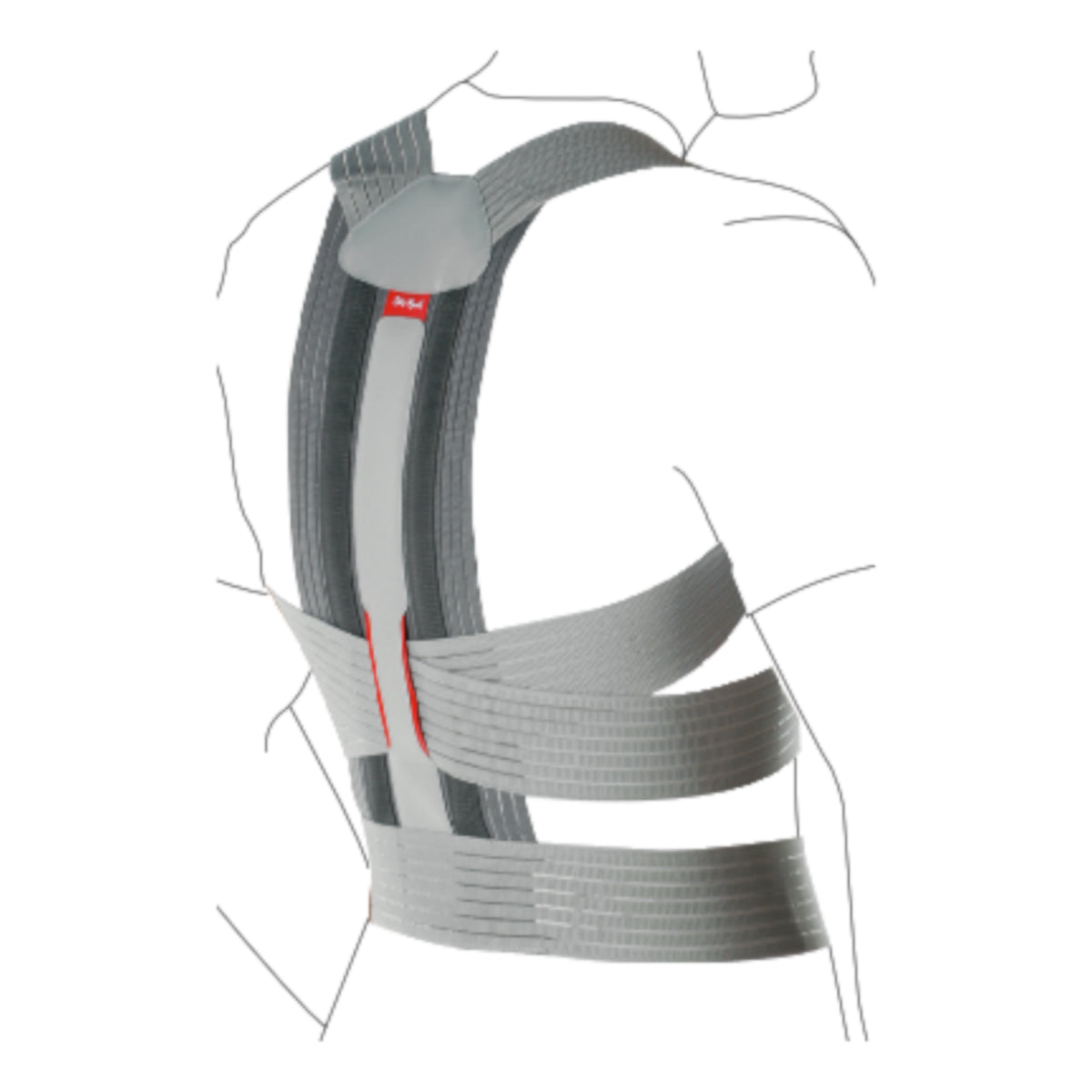 Dorso Carezza Posture