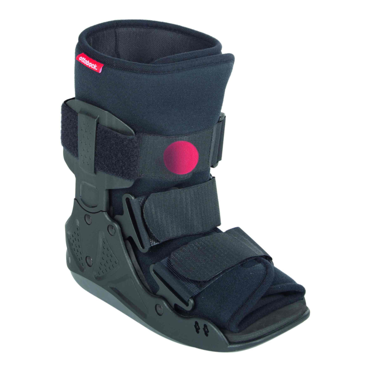 Malleo Immobil Walker, Baja