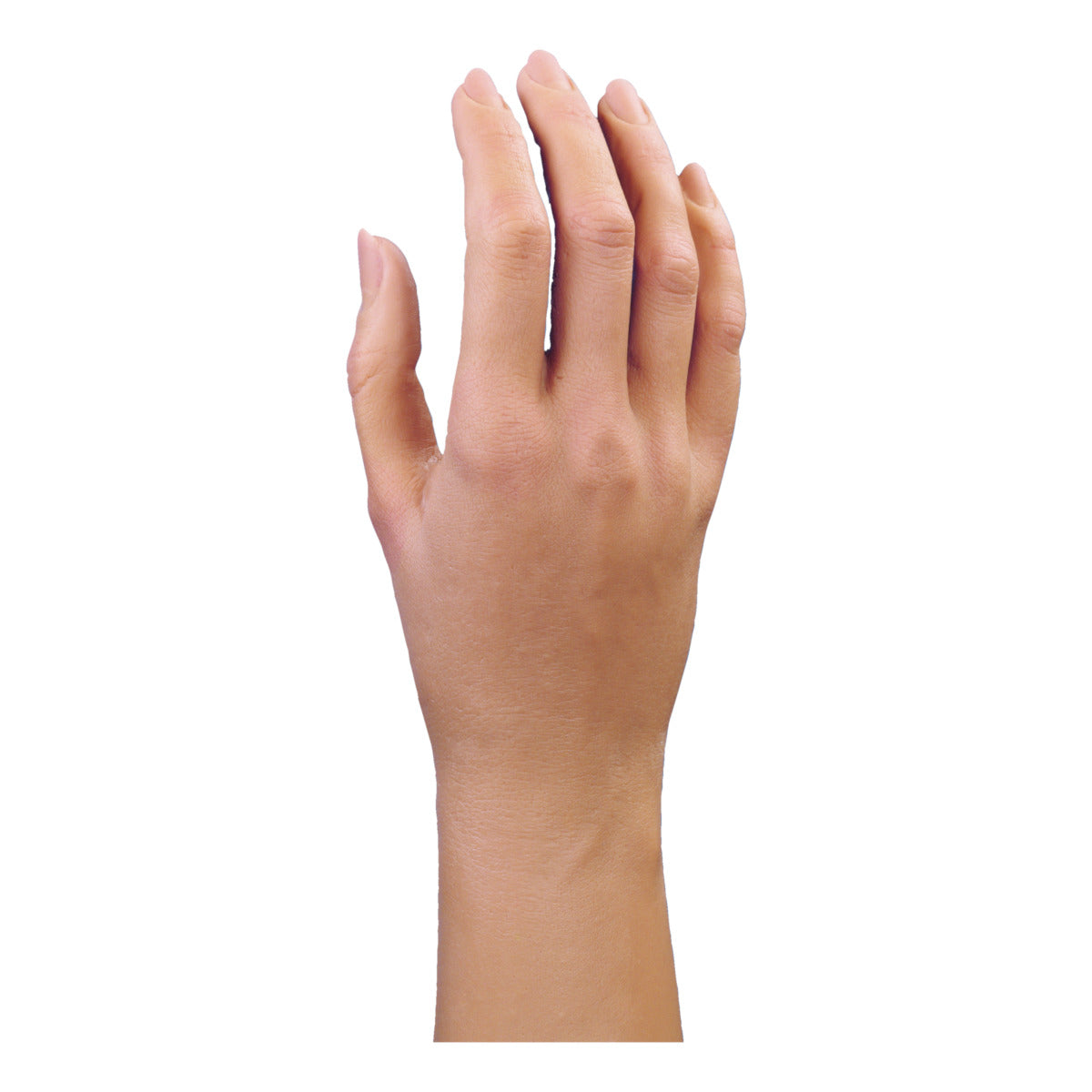 Guante Cosmetico PhysoSkin Natural 8S5N