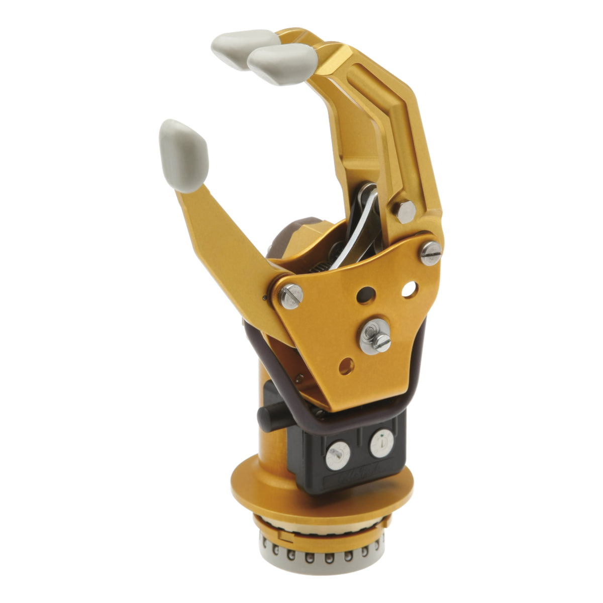 Mano Myoelectrica Digital Twin