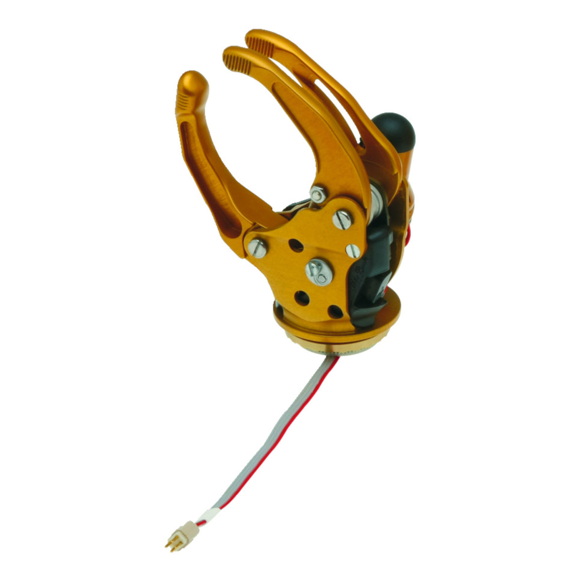 Mano Myoelectrica Digital Twin