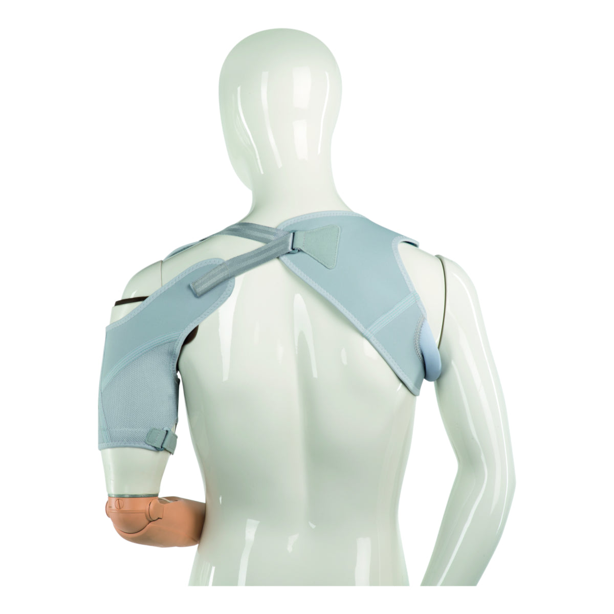 Arnes activo transhumeral 21A47
