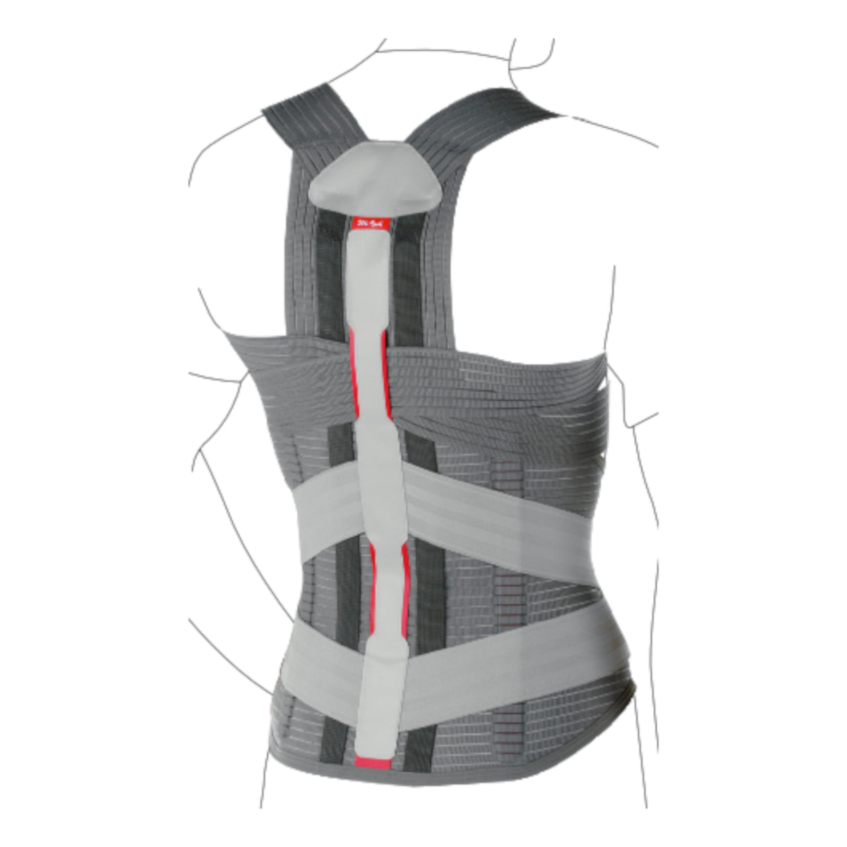 Dorso Direxa Posture