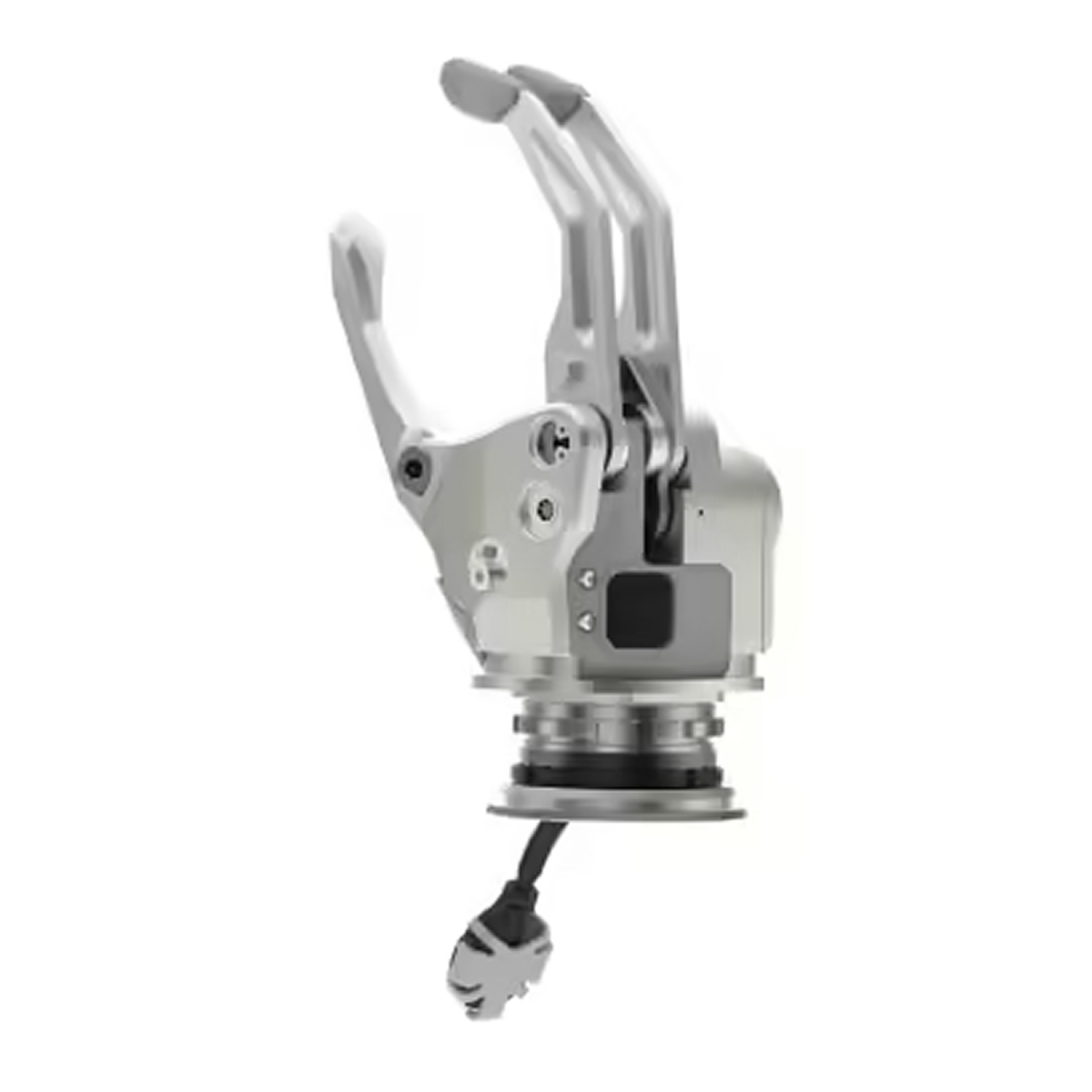 Muñeca Modular Corta