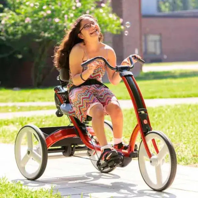 Triciclo Adaptable